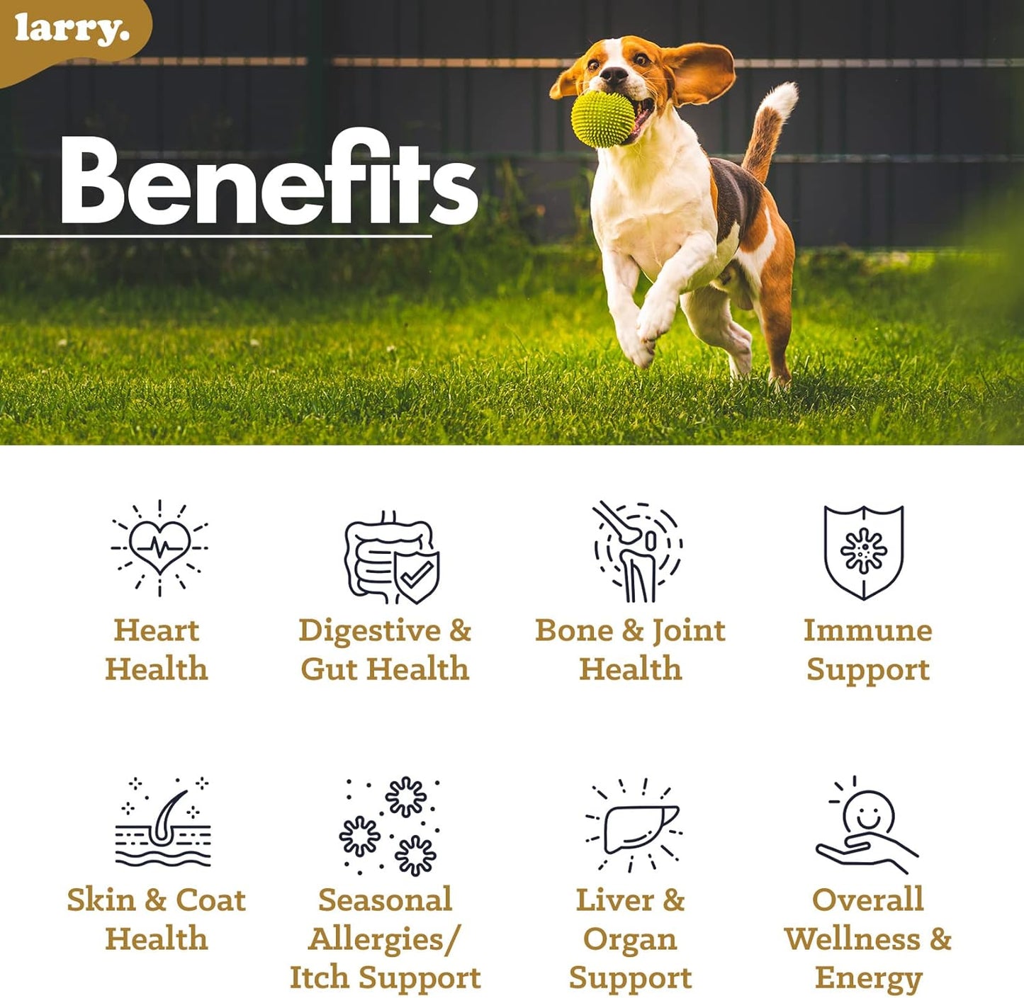 Larry 8-1 Multivitamin for Heart Health, Skin & Coat, Digestion & More