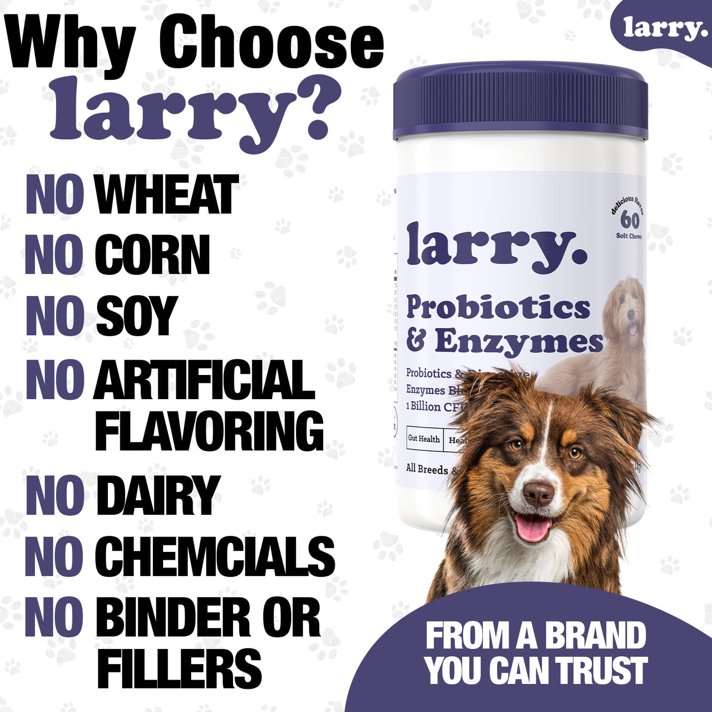 Larry Advanced Probiotics and Digestive Enzyme Chews