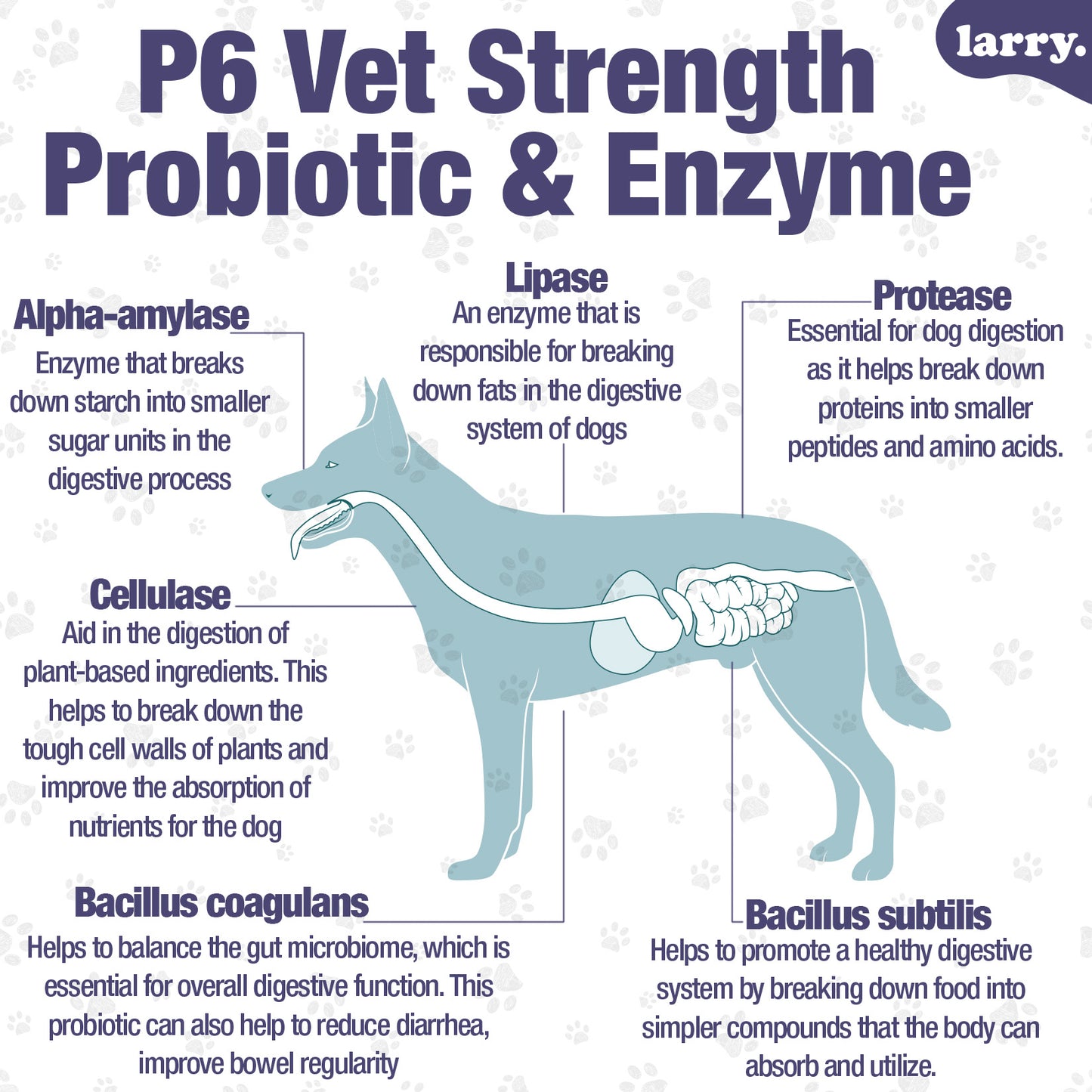 Larry Advanced Probiotics and Digestive Enzyme Chews