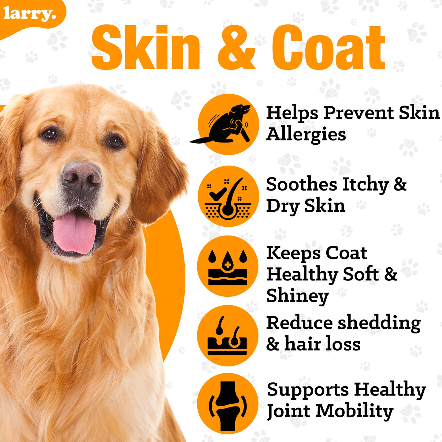 Skin and Coat Chews